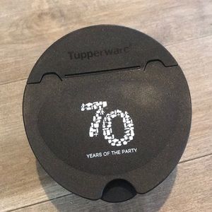 Tupperware container (salt box)